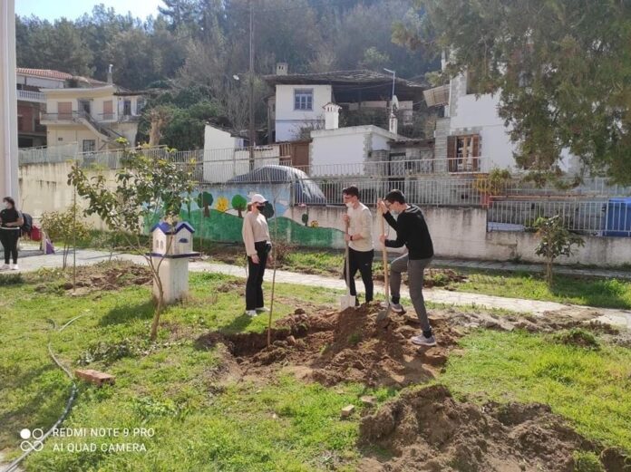 Δενδροφύτευση-απο-το-Συμβούλιο-Νέων-του-Δήμου-Παγγαίου