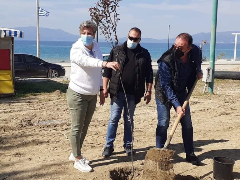 Ακόμη-μια-ημέρα-δενδροφύτευσης-στο-Δήμο-Παγγαίου-Μικροί-και-μεγάλοι-εν-δράση