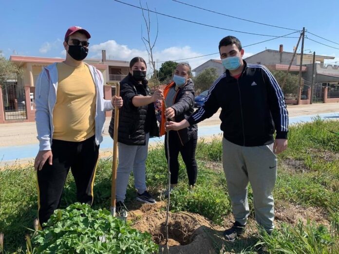Συνεχίζονται-στο-Δήμο-Παγγαίου-οι-δενδροφυτεύσεις Συνεχίζονται-στο-Δήμο-Παγγαίου-οι-δενδροφυτεύσεις