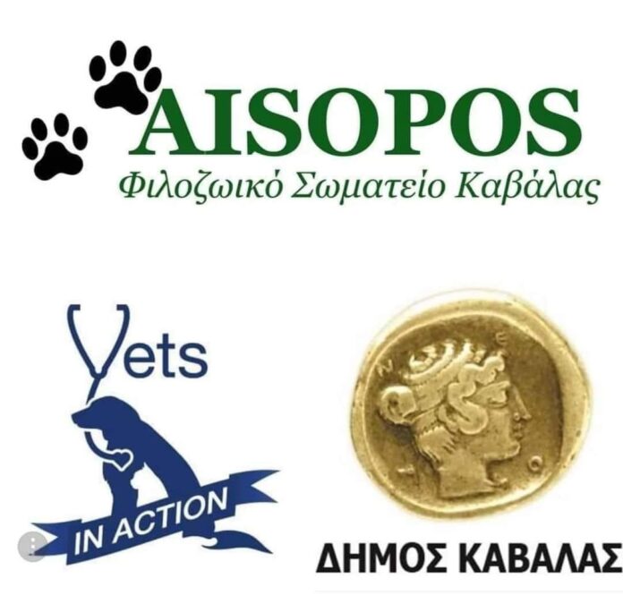 Στειρώσεις-αδέσποτων-ζώων Στειρώσεις-αδέσποτων-ζώων