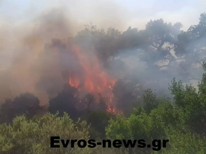 Μεγάλη-φωτιά-στον-Έβρο-–-Εκκενώνεται-περιοχή-στο-Σουφλί Μεγάλη-φωτιά-στον-Έβρο-–-Εκκενώνεται-περιοχή-στο-Σουφλί