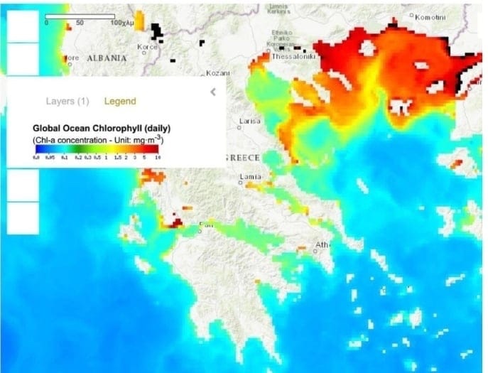 ΓΕΩΤΕΕ-Θράκης:-“Το-φυτοπλαγκτόν-στη-θάλασσα-θα-φέρει-καλύτερες-ψαριές ΓΕΩΤΕΕ-Θράκης:-“Το-φυτοπλαγκτόν-στη-θάλασσα-θα-φέρει-καλύτερες-ψαριές