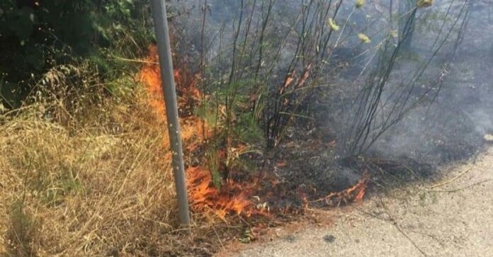 Πυρκαγιά-απο-πτώση-καλωδίου-στη-Παλιά-Καβάλα