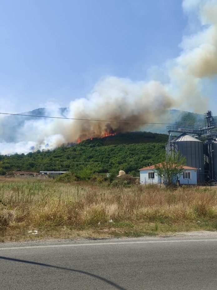 Πυρκαγιά-στους-Αντιφιλίππους-του-Δήμου-Παγγαίου-video
