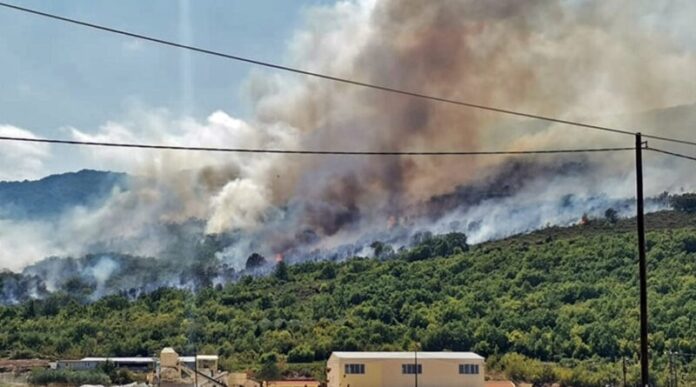 Παραμένει-κρατούμενος-ο-φερόμενος-ως-δράστης-της-πυρκαγιάς-τους-Αντιφιλίππους-Παγγαίου Παραμένει-κρατούμενος-ο-φερόμενος-ως-δράστης-της-πυρκαγιάς-τους-Αντιφιλίππους-Παγγαίου