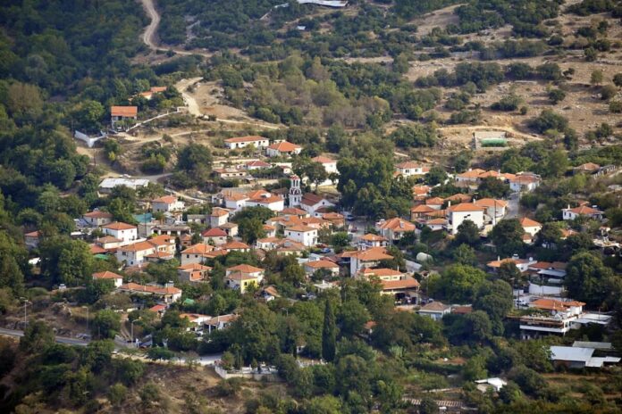 Μηνυτήρια-αναφορά-του-Δήμου-Καβάλας-στην-εισαγγελία-Καβάλας,-για-τις-ανεπιτήρητες-αγελάδες-στην-Παλαιά-Καβάλα Μηνυτήρια-αναφορά-του-Δήμου-Καβάλας-στην-εισαγγελία-Καβάλας,-για-τις-ανεπιτήρητες-αγελάδες-στην-Παλαιά-Καβάλα