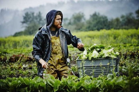 «Νέοι-Γεωργοί»:-Επιδότηση-έως-40000-ευρώ-σε-όσους-νέους-ασχοληθούν-με-την-γεωργία-–-37300000-στην-Περιφέρεια-Αν.-Μακεδονίας-και-Θράκης «Νέοι-Γεωργοί»:-Επιδότηση-έως-40000-ευρώ-σε-όσους-νέους-ασχοληθούν-με-την-γεωργία-–-37300000-στην-Περιφέρεια-Αν.-Μακεδονίας-και-Θράκης