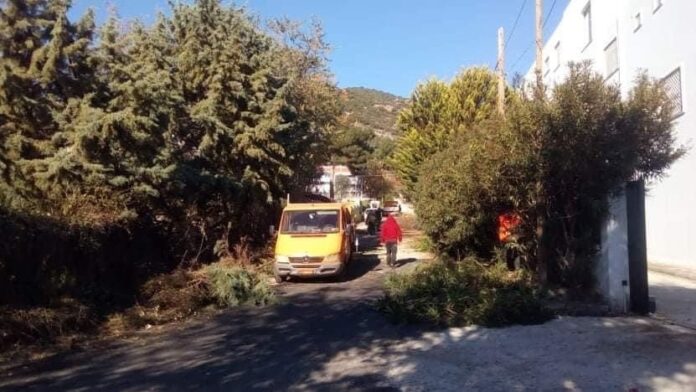 Καθαρισμός-κοινόχρηστων-χώρων-στον-οικισμό-του-Παληού