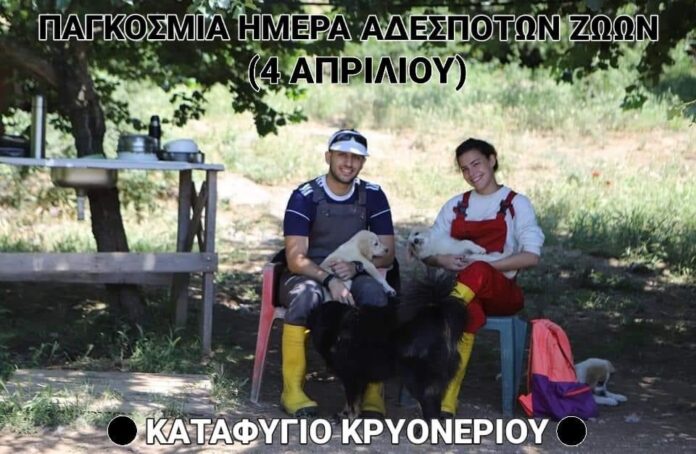 Μήνυμα-του-Δημάρχου-Καβάλας,-Θόδωρου-Μουριάδη,-για-την-Παγκόσμια-Ημέρα-Αδέσποτων-ζώων-(4-Απριλίου) Μήνυμα-του-Δημάρχου-Καβάλας,-Θόδωρου-Μουριάδη,-για-την-Παγκόσμια-Ημέρα-Αδέσποτων-ζώων-(4-Απριλίου)