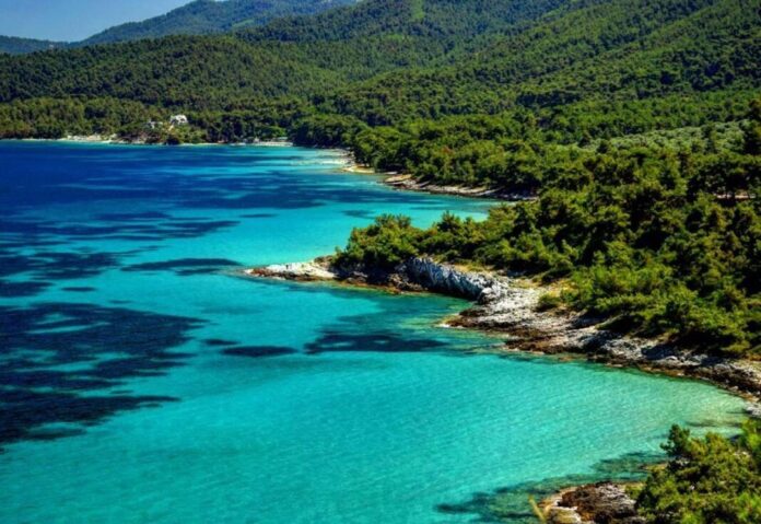 Η-Θάσος-μέσα-στα-5-πιο-πράσινα-νησιά-της-Ελλάδας-–-Τα-πεύκα-φτάνουν-μέχρι-τη-θάλασσα Η-Θάσος-μέσα-στα-5-πιο-πράσινα-νησιά-της-Ελλάδας-–-Τα-πεύκα-φτάνουν-μέχρι-τη-θάλασσα