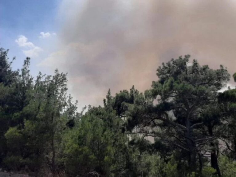 Φωτιά-στον-Έβρο:-Σε-πύρινο-κλοιό-το-δάσος-της-Δαδιάς-για-4η-ημέρα-–-Στόχος-να-αναπτυχθούν-νέες-αντιπυρικές-ζώνες