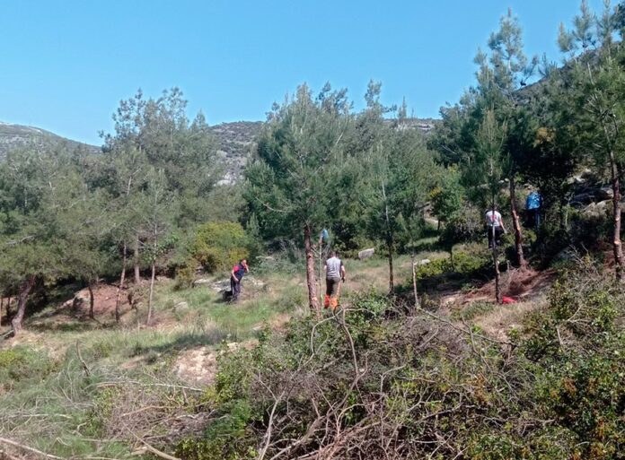 Επιχείρηση-καθαρισμού-αντιπυρικής-προστασίας-στο-περιαστικό-δάσος Επιχείρηση-καθαρισμού-αντιπυρικής-προστασίας-στο-περιαστικό-δάσος