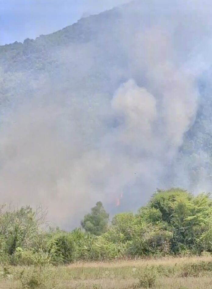 Πυρκαγιά-σε-χορτολιβαδική-έκταση-στο-Παγγαίο Πυρκαγιά-σε-χορτολιβαδική-έκταση-στο-Παγγαίο