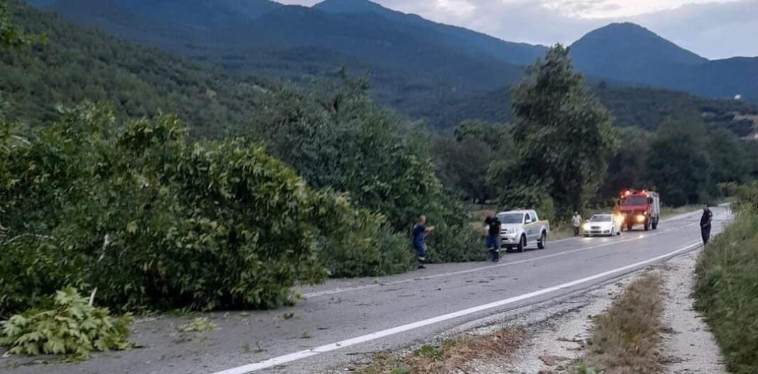 Ξαφνική-καταιγίδα-έπληξε-περιοχές-του-δήμου-Παγγαίου-Έπεσαν-δέντρα