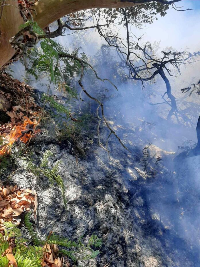 Συνεχίζεται-η-επιχείρηση-κατάσβεσης-της-φωτιάς-στη-Σαμοθράκη Συνεχίζεται-η-επιχείρηση-κατάσβεσης-της-φωτιάς-στη-Σαμοθράκη