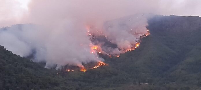 Ανεξέλεγκτη-μέχρι-τώρα-η-φωτιά-στην-Ποταμία-της-Θάσου-Στη-μάχη-και-τα-εναέρια-μέσα
