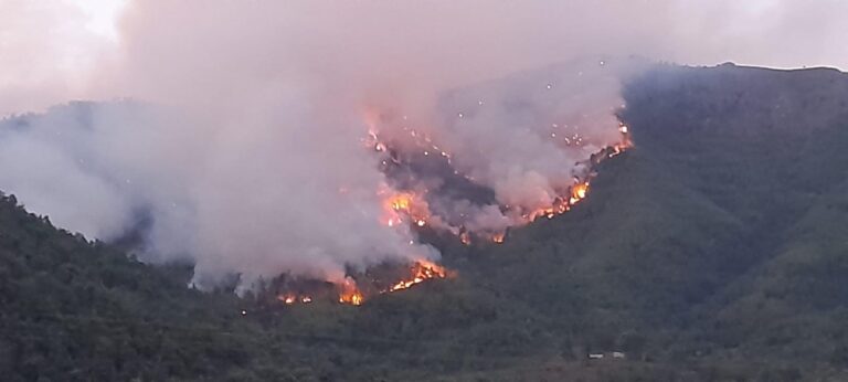 Ανεξέλεγκτη-μέχρι-τώρα-η-φωτιά-στην-Ποταμία-της-Θάσου-Στη-μάχη-και-τα-εναέρια-μέσα