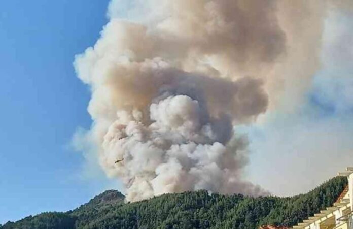 Πυρκαγιά-στη-Θάσο:-Ενισχύθηκαν-οι-δυνάμεις Πυρκαγιά-στη-Θάσο:-Ενισχύθηκαν-οι-δυνάμεις