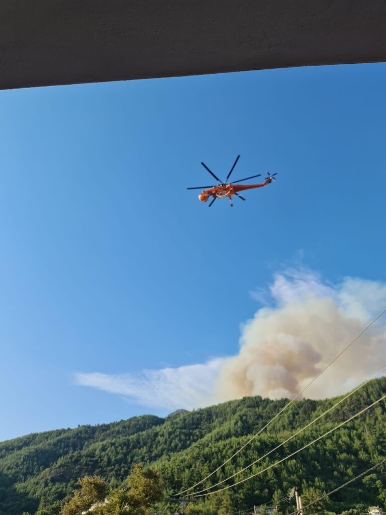 Φωτιά-στη-Θάσο:-Σπεύδουν-δασοκομάντο-–-Οι-ενδείξεις-για-εμπρησμό-και-οι-μαρτυρίες-για-ύποπτο-άνδρα-με-μηχανάκι
