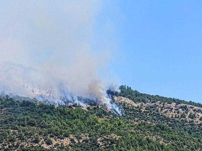 Συγκρατημένη-αισιοδοξία-ότι-θα-τεθεί-υπό-έλεγχο-η-φωτιά-στη-Θάσο-Ενισχύονται-οι-δυνάμεις-που-επιχειρούν-με-ΕΜΑΚ-και-δασοκομάντος-παρουσία-Ν.Παναγιωτόπουλου Συγκρατημένη-αισιοδοξία-ότι-θα-τεθεί-υπό-έλεγχο-η-φωτιά-στη-Θάσο-Ενισχύονται-οι-δυνάμεις-που-επιχειρούν-με-ΕΜΑΚ-και-δασοκομάντος-παρουσία-Ν.Παναγιωτόπουλου