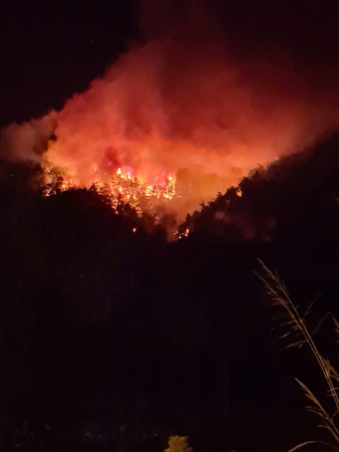 Έκκληση-για-εθελοντές-ώστε-να-βοηθήσουν-στην-αναζοπύρωση-της-Θάσου Έκκληση-για-εθελοντές-ώστε-να-βοηθήσουν-στην-αναζοπύρωση-της-Θάσου