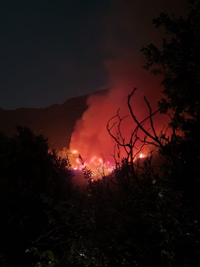 Δυσκολεύει-η-κατάσταση-με-την-φωτιά-στη-Θάσο Δυσκολεύει-η-κατάσταση-με-την-φωτιά-στη-Θάσο