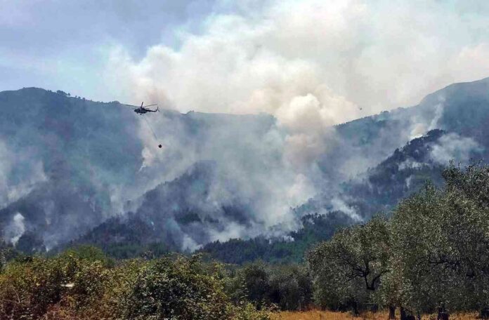 Φωτιά-στη-Θάσο:-Συνελήφθη-ο-65χρονος-συνταξιούχος Φωτιά-στη-Θάσο:-Συνελήφθη-ο-65χρονος-συνταξιούχος