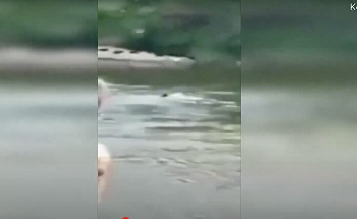 Ντοκουμέντο-από-τον-Έβρο:-Πώς-οι-τούρκοι-στρατοχωροφύλακες-προωθούν-μετανάστες-στην-Ελλάδα Ντοκουμέντο-από-τον-Έβρο:-Πώς-οι-τούρκοι-στρατοχωροφύλακες-προωθούν-μετανάστες-στην-Ελλάδα