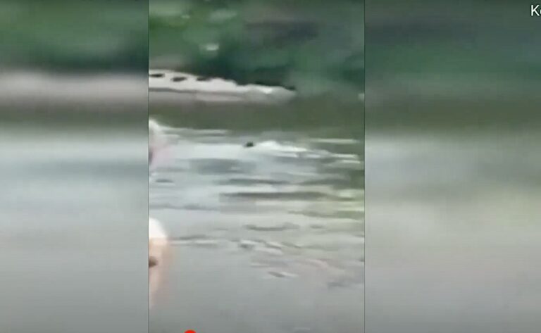 Ντοκουμέντο-από-τον-Έβρο:-Πώς-οι-τούρκοι-στρατοχωροφύλακες-προωθούν-μετανάστες-στην-Ελλάδα