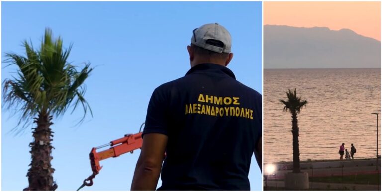 Εξωραϊσμός-της-αναπλασμένης-παραλιακής-Αλεξανδρούπολης