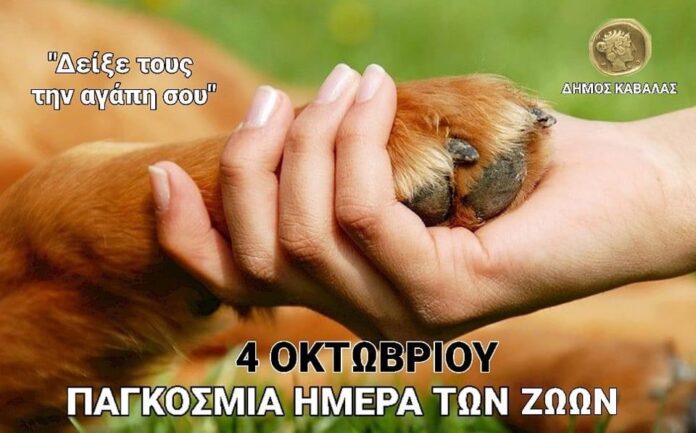 Μήνυμα-του-Δημάρχου-Καβάλας-για-την-Παγκόσμια-Ημέρα-των-Ζώων