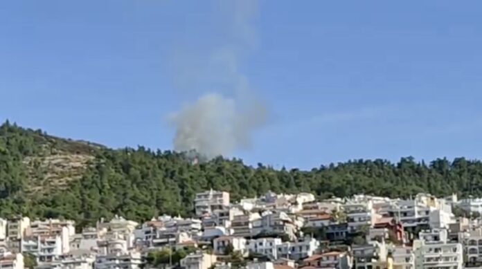 Και-νέο-περιστατικό-πυρκαγιάς-στο-περιαστικό-δάσος-Καβάλας