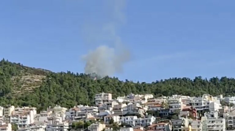 Και-νέο-περιστατικό-πυρκαγιάς-στο-περιαστικό-δάσος-Καβάλας