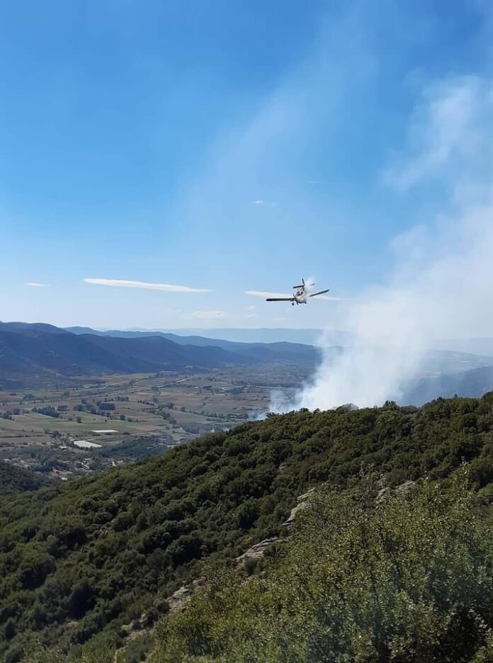 Πυρκαγιά-σε-δασική-έκταση-στο-Πυργοχώρι-Παγγαίου