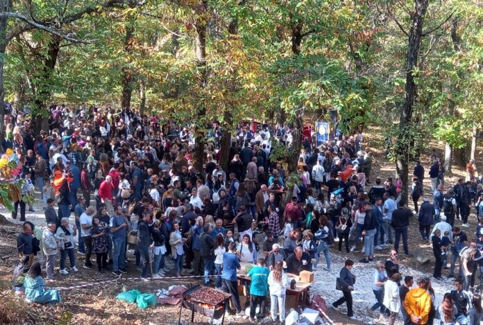 Με-επιτυχία-πραγματοποιήθηκε-στο-καστανοδάσος-του-Παλαιοχωρίου-η-γιορτή-κάστανου Με-επιτυχία-πραγματοποιήθηκε-στο-καστανοδάσος-του-Παλαιοχωρίου-η-γιορτή-κάστανου