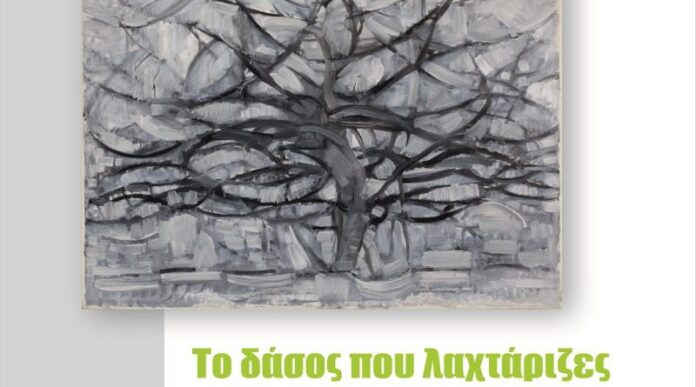 Έκθεση-έργων-τέχνης-των-μαθητών-των-Γυμνασίων-και-των-Λυκείων-του-Νομού-Καβάλας Έκθεση-έργων-τέχνης-των-μαθητών-των-Γυμνασίων-και-των-Λυκείων-του-Νομού-Καβάλας