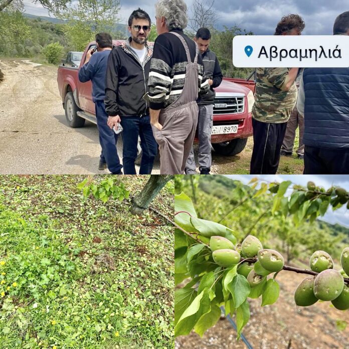 Επίσκεψη-Αλέξη-Πολίτη-στις-περιοχές-του-Νέστου-που-έπληξε-η-χαλαζόπτωση Επίσκεψη-Αλέξη-Πολίτη-στις-περιοχές-του-Νέστου-που-έπληξε-η-χαλαζόπτωση