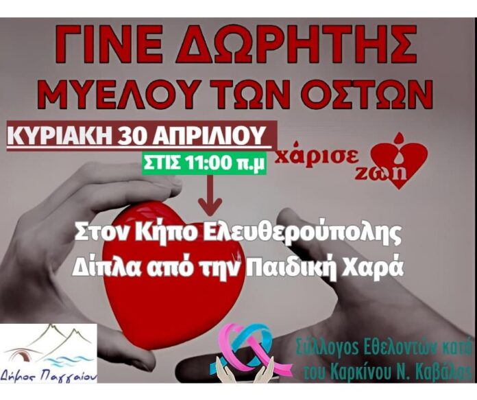 Γίνε-και-εσύ-δότης-μυελού-των-οστών-Εκδήλωση-στην-Ελευθερούπολη Γίνε-και-εσύ-δότης-μυελού-των-οστών-Εκδήλωση-στην-Ελευθερούπολη