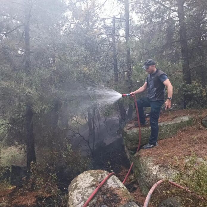Από-ανθρώπινο-χέρι-η-πυρκαγιά-της-Τρίτης-στο-περιαστικό-δάσος