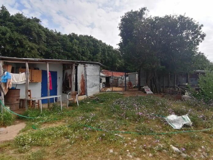 Νέα-στοιχεία-από-την-ιατροδικαστική-εξέταση-αποκαλύπτει-ο-αδερφός-της-68χρονης-Δεύτερη-αυτοψία-του-ιατροδικαστή-στον-τόπο-του-εγκλήματος Νέα-στοιχεία-από-την-ιατροδικαστική-εξέταση-αποκαλύπτει-ο-αδερφός-της-68χρονης-Δεύτερη-αυτοψία-του-ιατροδικαστή-στον-τόπο-του-εγκλήματος