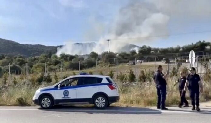 Πυρκαγιά-σε-δασική-έκταση-στην-περιοχή-της-Αλμύρας Πυρκαγιά-σε-δασική-έκταση-στην-περιοχή-της-Αλμύρας
