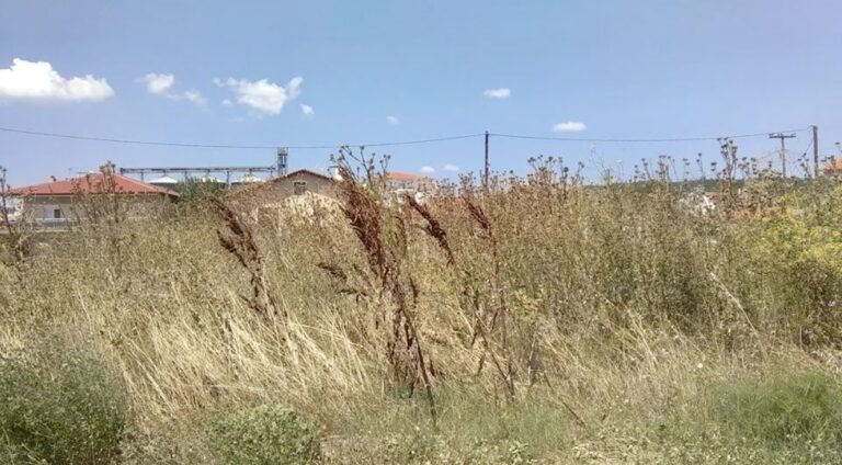 Έλεγχοι-από-το-Δήμο-Αλεξανδρούπολης-για-ακαθάριστα-οικόπεδα-από-ξερά-χόρτα