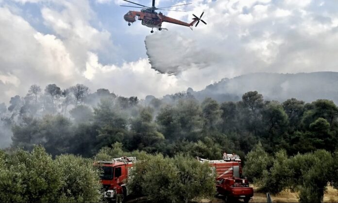 Φωτιά-στην-Μελία-Αλεξανδρούπολης:-Ισχυρές-επίγειες-και-εναέριες-δυνάμεις