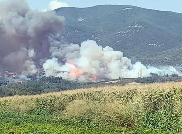 Μεγάλη-φωτιά-στο-Διαλεκτό-Νέστου-–-Τραυματίστηκαν-πυροσβέστες,-κάηκαν-πυροσβεστικά-οχήματα Μεγάλη-φωτιά-στο-Διαλεκτό-Νέστου-–-Τραυματίστηκαν-πυροσβέστες,-κάηκαν-πυροσβεστικά-οχήματα