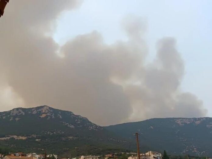 Φωτιές:-Μάχη-με-τις-φλόγες-σε-Έβρο-και-Άνδρο-–-Βελτιωμένη-εικόνα-σε-Βοιωτία-και-Φθιώτιδα