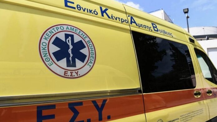 Τραγωδία-στη-Δράμα:-Πετάχτηκε-στο-δρόμο-για-να-σώσει-σκυλί-και-σκοτώθηκε-όταν-παρασύρθηκε-από-λεωφορείο-ΚΤΕΛ Τραγωδία-στη-Δράμα:-Πετάχτηκε-στο-δρόμο-για-να-σώσει-σκυλί-και-σκοτώθηκε-όταν-παρασύρθηκε-από-λεωφορείο-ΚΤΕΛ