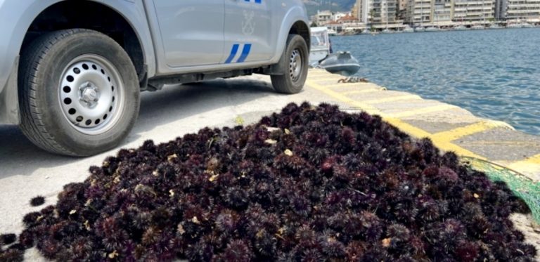 Τον-έπιασαν-για-παράνομη-αλίευση-αχινών