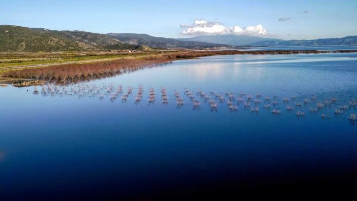 Θεσσαλία-–-Έβρος:-Παράταση-έως-21-Ιουνίου-για-τα-ειδικά-σχήματα-ενίσχυσης-πληγεισών-επιχειρήσεων Θεσσαλία-–-Έβρος:-Παράταση-έως-21-Ιουνίου-για-τα-ειδικά-σχήματα-ενίσχυσης-πληγεισών-επιχειρήσεων