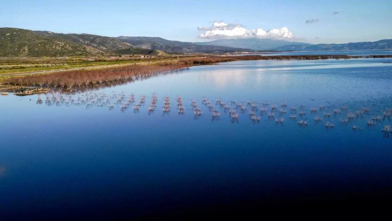 Θεσσαλία-–-Έβρος:-Παράταση-έως-21-Ιουνίου-για-τα-ειδικά-σχήματα-ενίσχυσης-πληγεισών-επιχειρήσεων