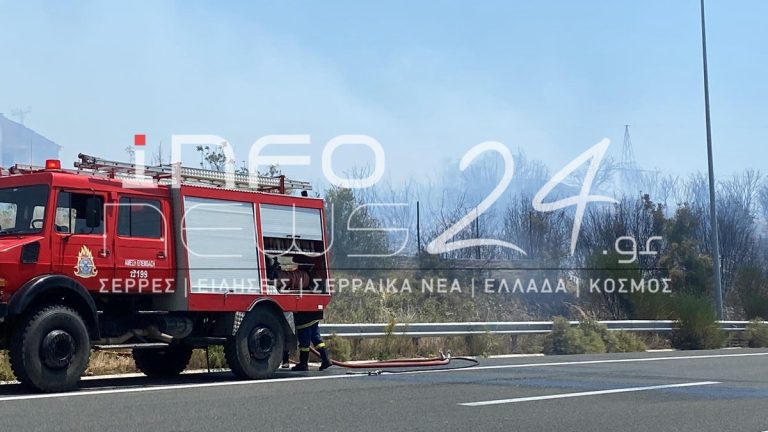Φωτιά-στην-Αμφίπολη-Σερρών-–-Μεγάλη-κινητοποίηση-της-Πυροσβεστικής,-συνδράμουν-και-δύο-αεροσκάφη